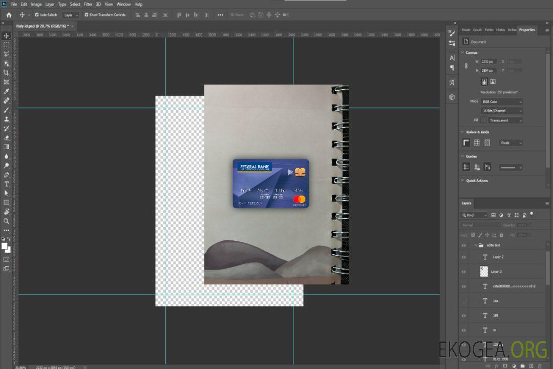 Photolook mastercard de la banque fédérale de l'Inde , avant template Photolook mastercard de la banque fédérale de l'Inde , avant template